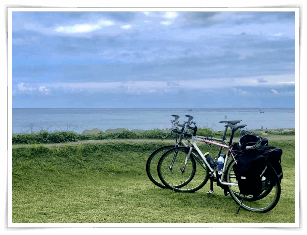 雲豹 Audax Hercules 鉻鉬鋼平把公路車